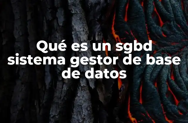 Qué es un Sgbd Sistema Gestor de Base de Datos