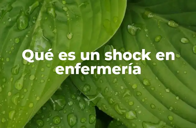 Qué es un Shock en Enfermería