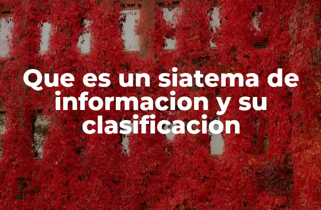 Que es un Siatema de Informacion y Su Clasificacion