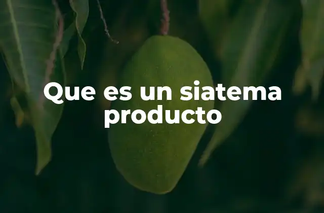 Que es un Siatema Producto