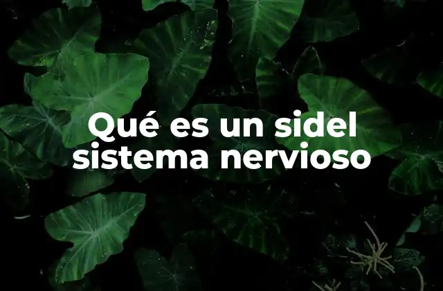 Qué es un Sidel Sistema Nervioso