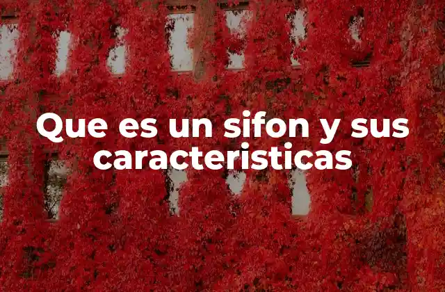 Que es un Sifon y Sus Caracteristicas