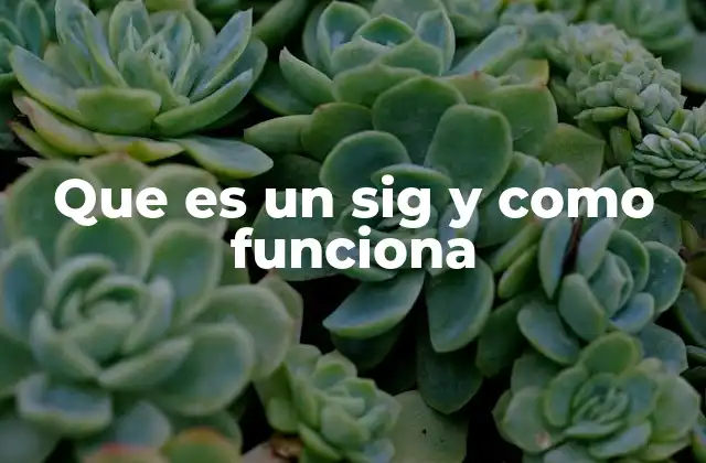 Que es un Sig y como Funciona