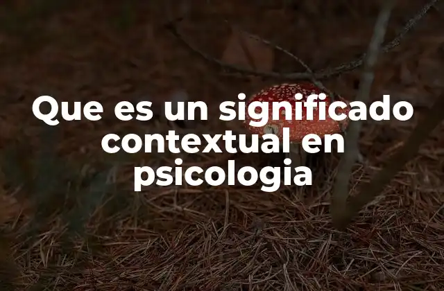 Que es un Significado Contextual en Psicologia