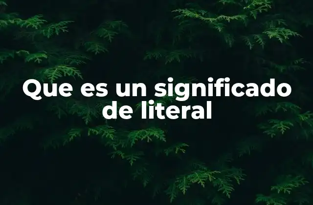 Que es un Significado de Literal 2 El uso del lenguaje directo en la comunicación
