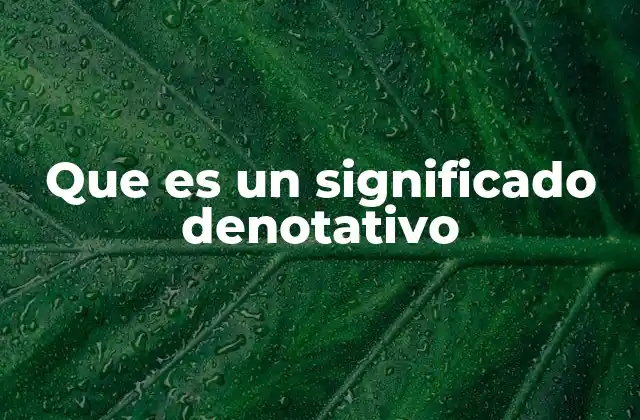 Que es un Significado Denotativo