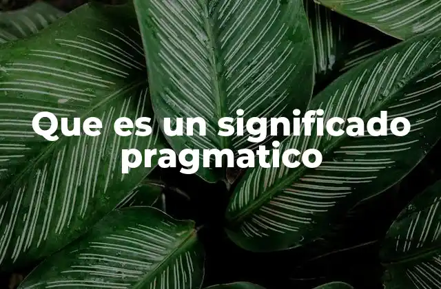 Que es un Significado Pragmatico