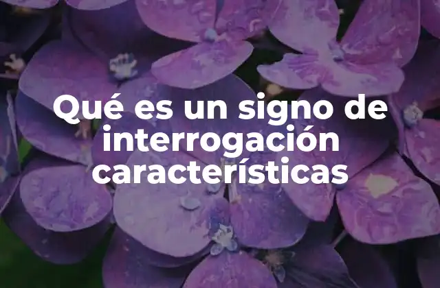 Qué es un Signo de Interrogación Características