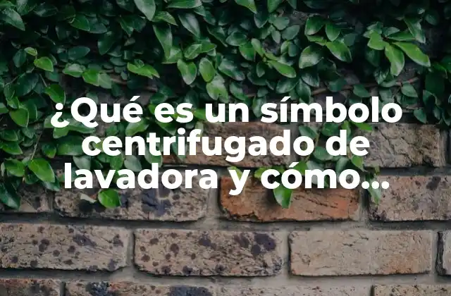 ¿qué es un Símbolo Centrifugado de Lavadora y Cómo Funciona?