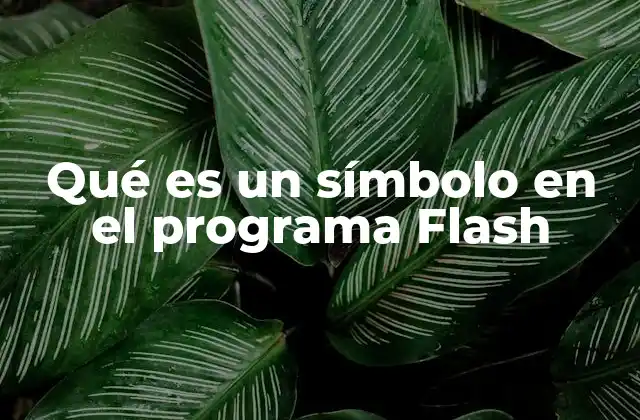 Qué es un Símbolo en el Programa Flash