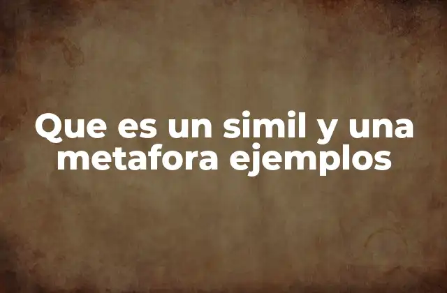 Que es un Simil y una Metafora Ejemplos