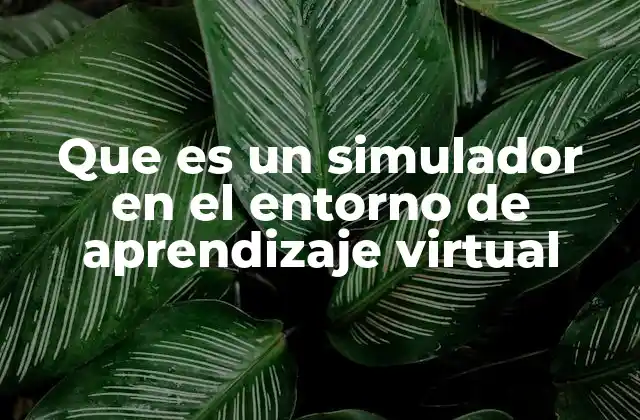 Que es un Simulador en el Entorno de Aprendizaje Virtual