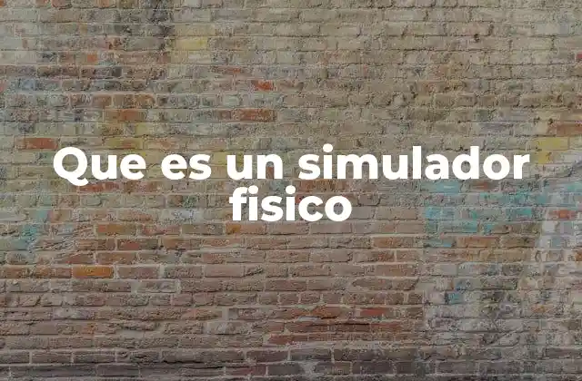 Que es un Simulador Fisico