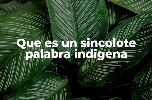 Que es un Sincolote Palabra Indigena