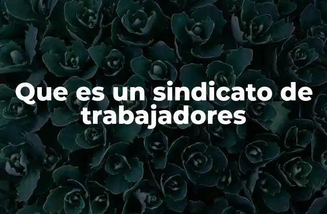 Que es un Sindicato de Trabajadores
