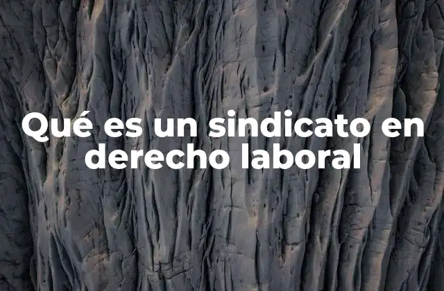 Qué es un Sindicato en Derecho Laboral
