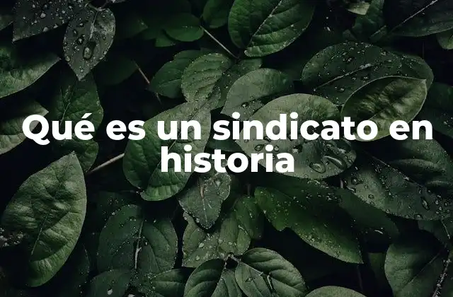 Qué es un Sindicato en Historia