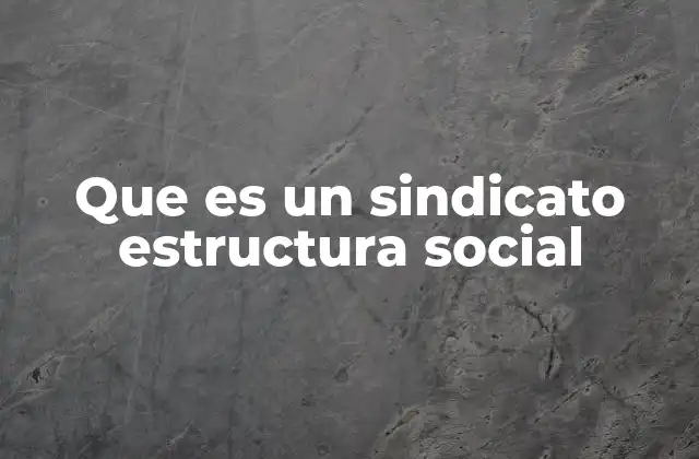 Que es un Sindicato Estructura Social