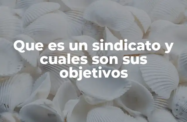 Que es un Sindicato y Cuales Son Sus Objetivos