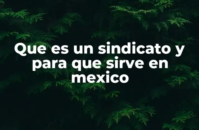 Que es un Sindicato y para que Sirve en Mexico