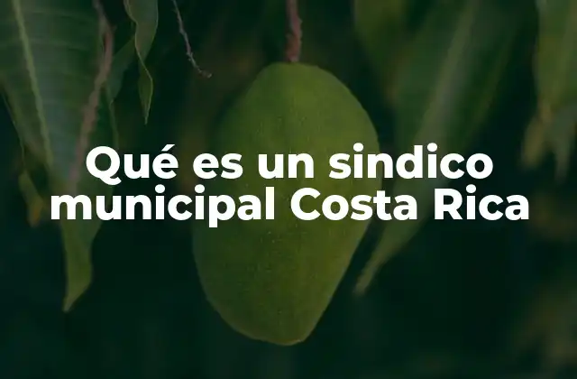 Qué es un Sindico Municipal Costa Rica