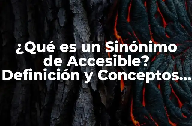 ¿qué es un Sinónimo de Accesible? Definición y Conceptos Relacionados