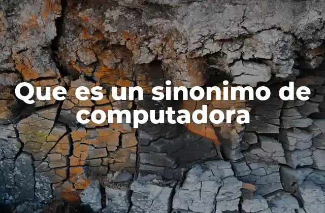 Que es un Sinonimo de Computadora