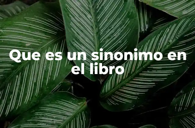 Que es un Sinonimo en el Libro