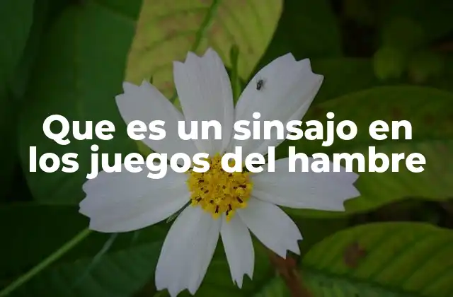 Que es un Sinsajo en los Juegos Del Hambre