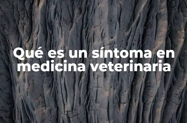 Qué es un Síntoma en Medicina Veterinaria