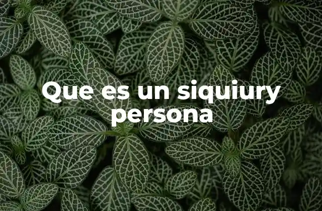 Que es un Siquiury Persona