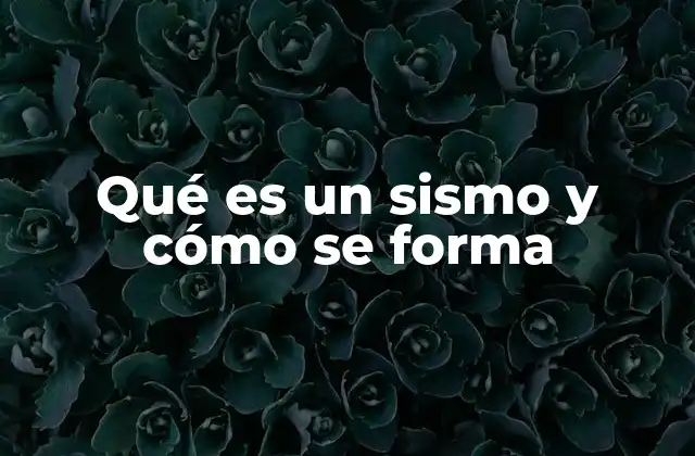 Qué es un Sismo y Cómo Se Forma