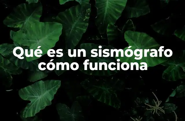 Qué es un Sismógrafo Cómo Funciona