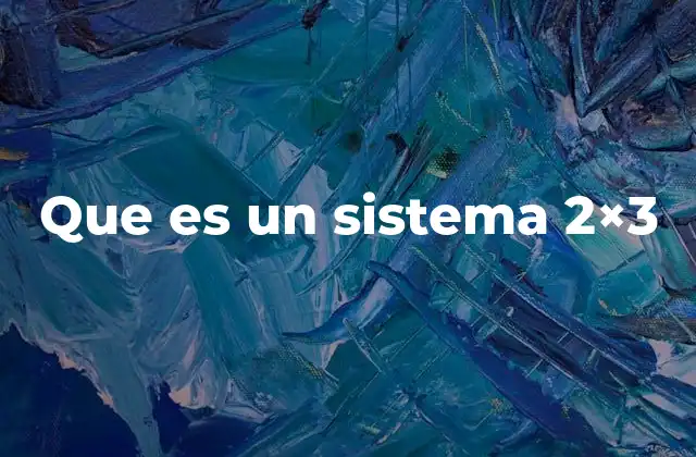 Que es un Sistema 2×3