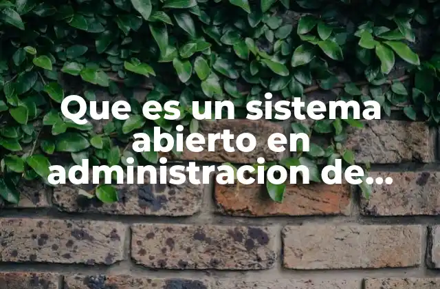 Que es un Sistema Abierto en Administracion de Empresas