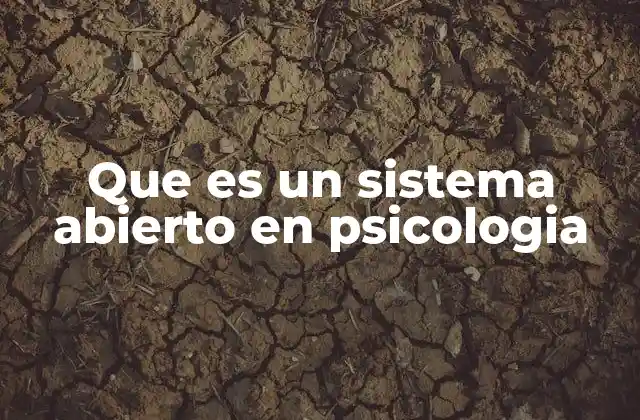 Que es un Sistema Abierto en Psicologia