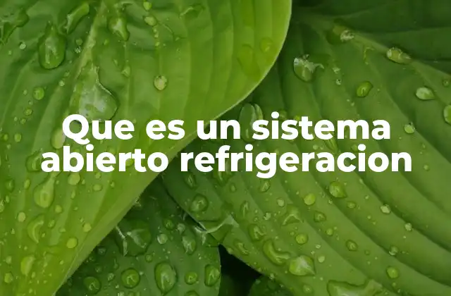 Que es un Sistema Abierto Refrigeracion