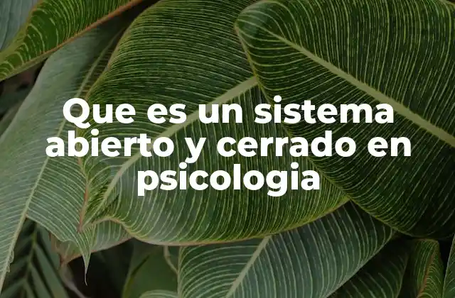 Que es un Sistema Abierto y Cerrado en Psicologia