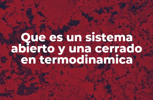 Diferencias entre los tipos de sistemas en la física