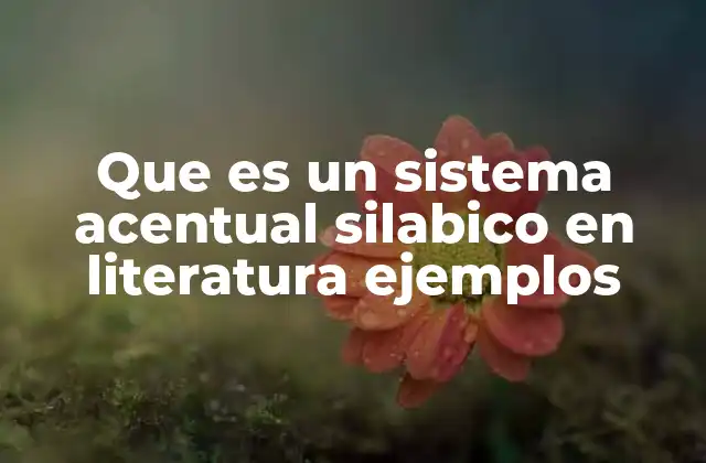 Que es un Sistema Acentual Silabico en Literatura Ejemplos
