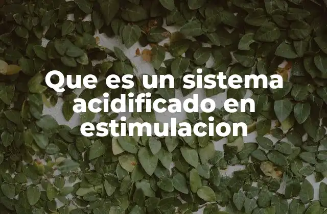 Que es un Sistema Acidificado en Estimulacion