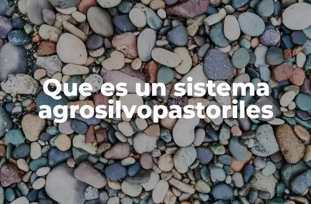 Que es un Sistema Agrosilvopastoriles