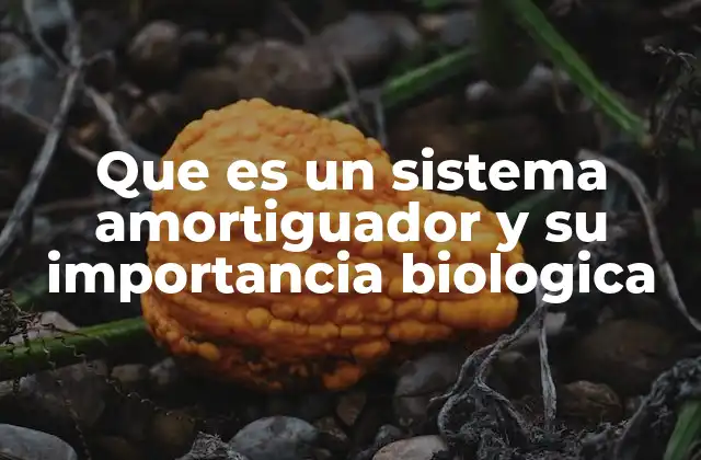 Que es un Sistema Amortiguador y Su Importancia Biologica
