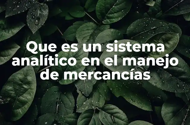 Que es un Sistema Analítico en el Manejo de Mercancías