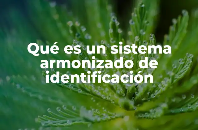 Qué es un Sistema Armonizado de Identificación