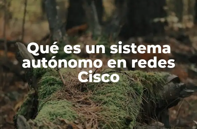 Qué es un Sistema Autónomo en Redes Cisco