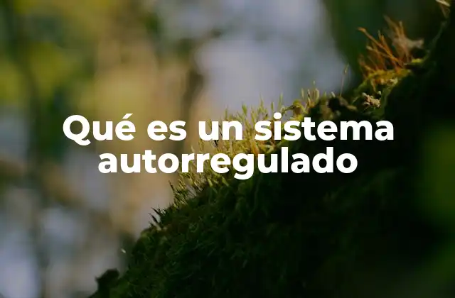 Qué es un Sistema Autorregulado