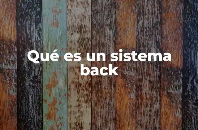 Qué es un Sistema Back