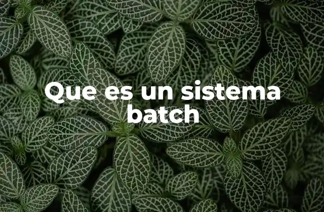 Que es un Sistema Batch