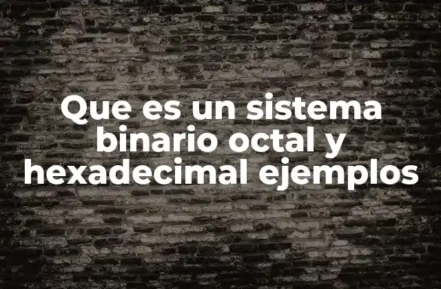 Que es un Sistema Binario Octal y Hexadecimal Ejemplos 2 Sistemas numéricos en la representación de datos digitales